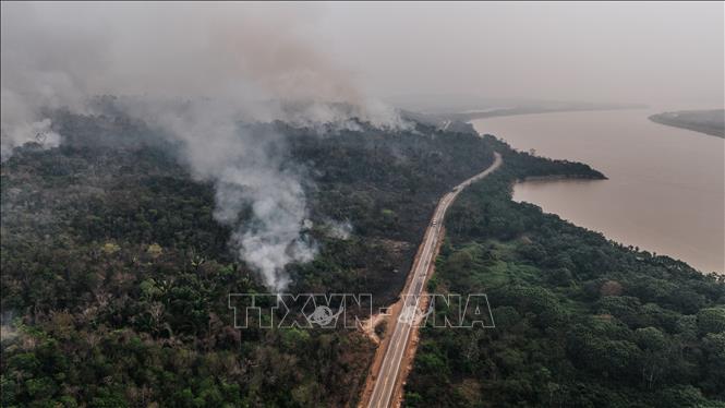 (Tư liệu) Khói bốc lên từ đám cháy rừng Amazon tại Sao Lourenco, bang Rondonia, Brazil, ngày 13/9/2024. Ảnh: THX/TTXVN