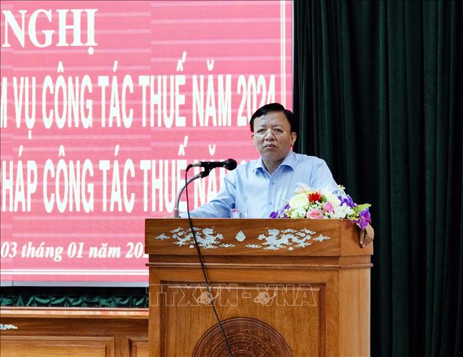 Ông Lê Huyền, Phó Chủ tịch UBND tỉnh Ninh Thuận, phát biểu tại Hội nghị tổng kết ngành Thuế tỉnh năm 2024. Ảnh: Công Thử - TTXVN