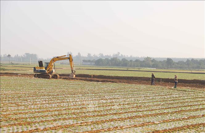 Đầu tư sửa sang, mở rộng, nâng cấp đường nội đồng trước mùa vụ giúp nông dân thuận lợi hơn trong sản xuất nông nghiệp, thu hoạch nông sản. Ảnh: Xuân Tiến - TTXVN 