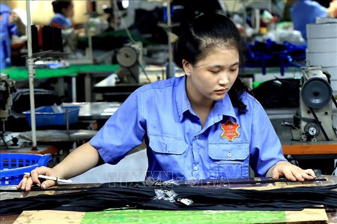 Making leather products at the Ladoda JSC in Hanoi's Gia Lam district. VNA Photo: Tuấn Anh