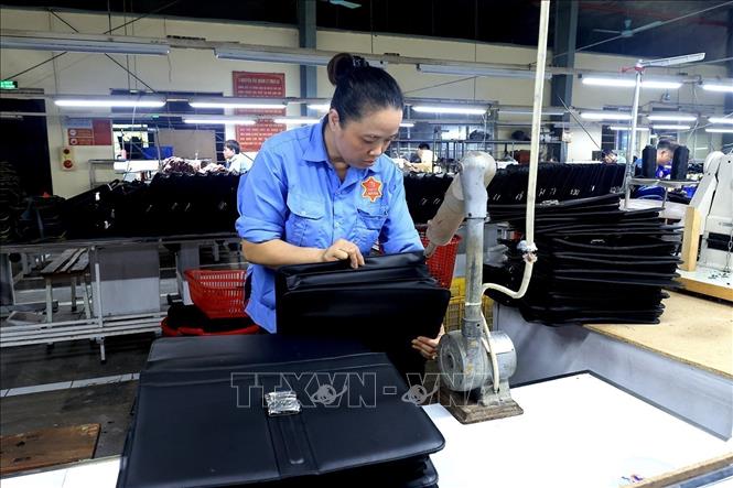 Making leather products at the Ladoda JSC in Hanoi's Gia Lam district. VNA Photo: Tuấn Anh
