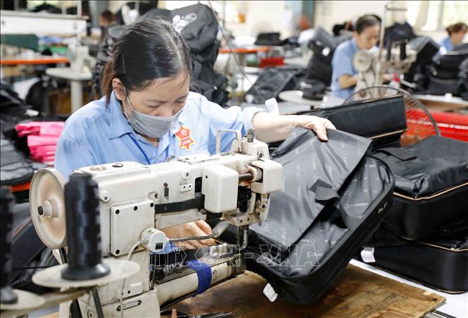 May túi xách tại Công ty TNHH Ladoda, xã Tân Quang, huyện Văn Lâm, tỉnh Hưng Yên. Ảnh: Trần Việt - TTXVN