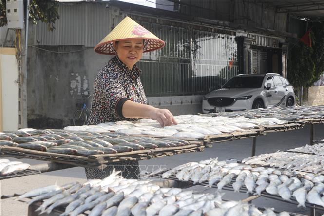 Những ngày này, tại cơ sở nướng cá của bà Hồ Thị Thắng, xóm Yên Đồng, xã Diễn Vạn luôn tất bật, nhộn nhịp bởi các đơn hàng đặt cá nướng làm quà biếu tăng cao. Ảnh: Bích Huệ - TTXVN