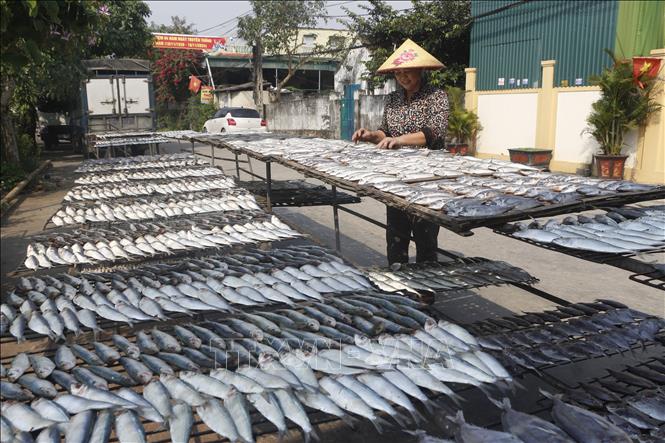 Trung bình tháng giáp Tết, nhiều cơ sở nướng cá ở làng Diễn Vạn, huyện Diễn Châu cung cấp vài chục tạ cá nướng cho thị trường. Ảnh: Bích Huệ - TTXVN