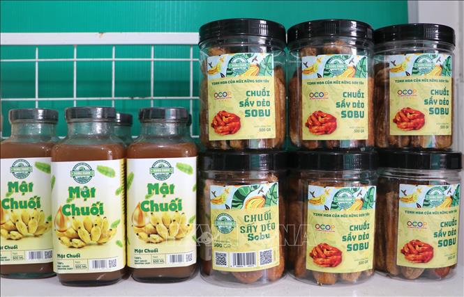 Một số sản phẩm nông sản đặc trưng của huyện miền núi Sơn Tây (Quảng Ngãi). Ảnh: Đinh Hương - TTXVN