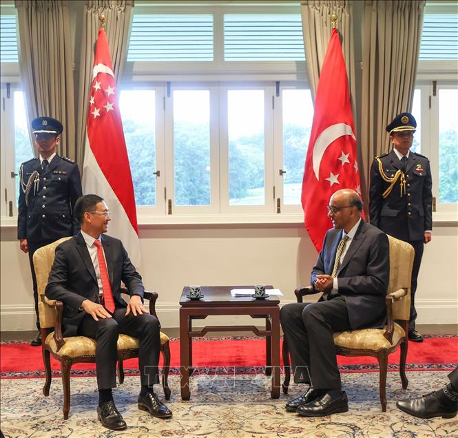 Tổng thống Singapore Tharman Shanmugaratnam (phải) tiếp Đại sứ Việt Nam Trần Phước Anh. Ảnh: TTXVN phát
