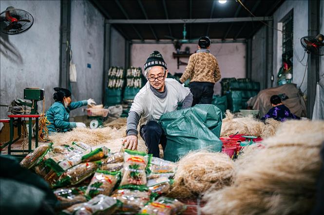 Miến dong làng So được sản xuất quanh năm, tuy nhiên từ tháng 9 đến tháng 12 được coi là vụ chính vì tập trung phục vụ hàng Tết nên sản lượng cao hơn bình thường. Ảnh: Phạm Tuấn Anh - TTXVN