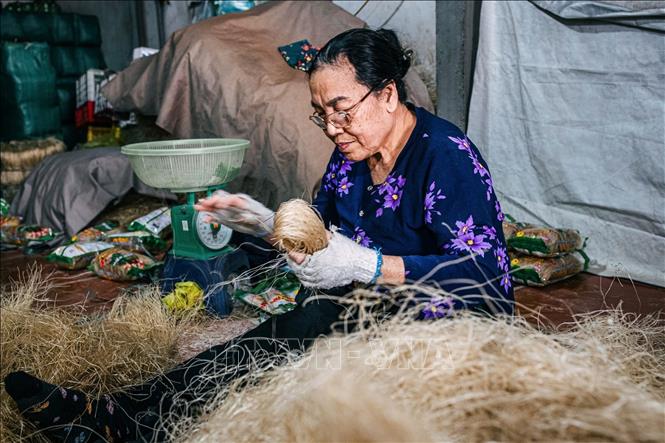 Nghề làm miến tạo việc làm và thu nhập ổn định cho người dân địa phương. Ảnh: Phạm Tuấn Anh - TTXVN