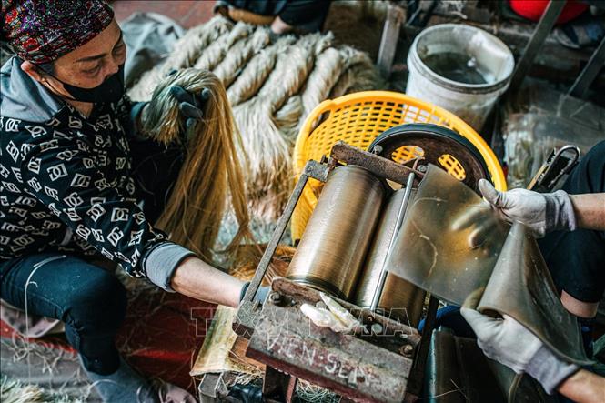 Sau khi khô, bánh tráng được cho vào máy cắt, ngâm qua nước cho mềm, cho vào máy rèn thành sợi rồi đưa ra phơi ngoài cánh đồng. Ảnh: Phạm Tuấn Anh - TTXVN