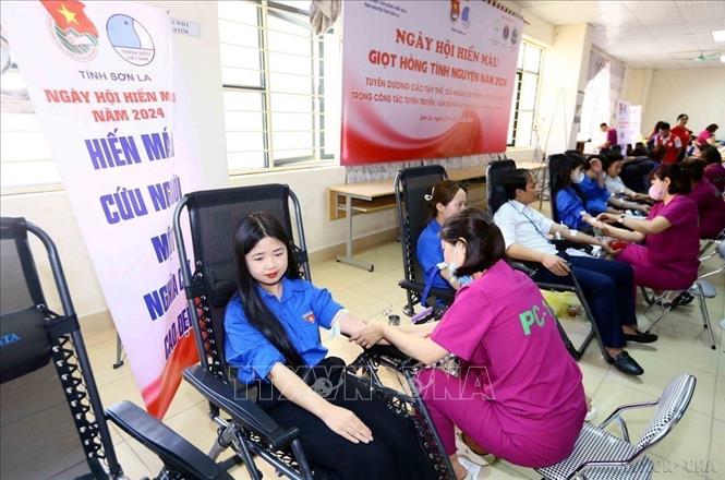 Đoàn viên, thanh niên trường đại học Tây Bắc, tỉnh Sơn La tham gia hiến máu tại “Ngày hội hiến máu - Giọt hồng tình nguyện”, ngày 23/3/2024. Ảnh: Quang Quyết-TTXVN