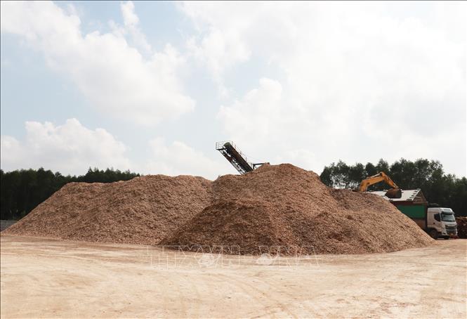 Sản phẩm dăm gỗ của Công ty cổ phần Lâm sản Quảng Trị ở xã Vĩnh Sơn, huyện Vĩnh Linh. Ảnh: Nguyên Lý-TTXVN