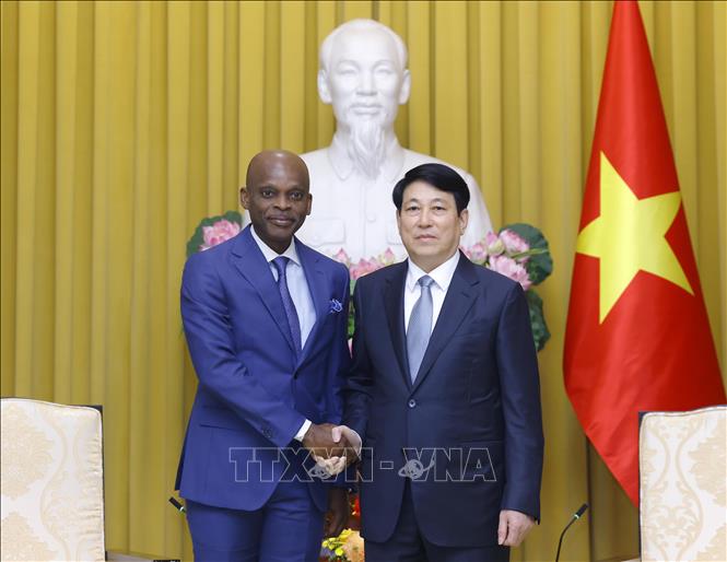 State President Luong Cuong welcomes Togolese Foreign Minister Robert Dussey. VNA Photo: Lâm Khánh