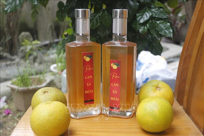Sản phẩm rượu cam Xã Đoài được nhiều người tiêu dùng lựa chọn trong dịp Tết. Ảnh: Bích Huệ - TTXVN