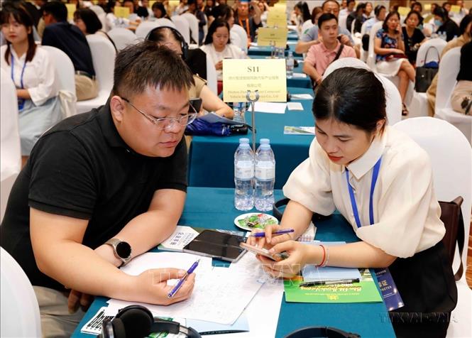 Gần 100 doanh nghiệp tham gia Hội nghị Xúc tiến Thương mại, Đầu tư và kết nối giao thương giữa doanh nghiệp Việt Nam và Trung Quốc do Cục Xúc tiến Thương mại (Bộ Công Thương) phối hợp với Uỷ ban Xúc tiến thương mại Tứ Xuyên (Trung Quốc) tổ chức (5/4/2024). Ảnh: Trần Việt - TTXVN