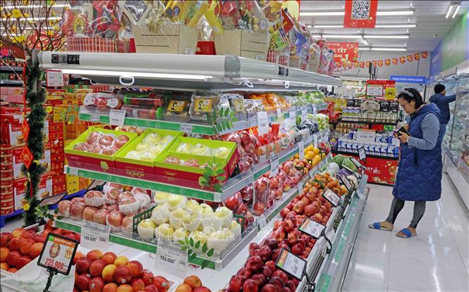 Imported fruits on shelves at the BRGMart on Pham Ngoc Thach street, Dong Da district, Hanoi. VNA Photo: Trần Việt