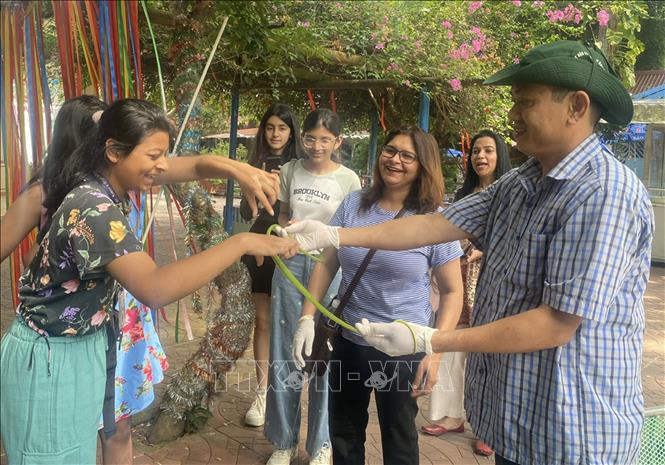 Du khách trải nghiệm tiếp xúc với loài rắn không độc. Ảnh: TTXVN phát