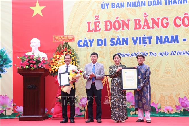 Trao Quyết định công nhận cây Thiên tuế ở Đình Phú Nhuận là cây Di sản Việt Nam. Ảnh: Chương Đài  - TTXVN 