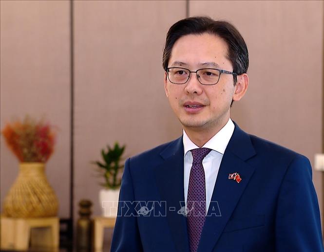 Deputy Minister of Foreign Affairs Do Hung Viet. Photo by courtesy/VNA
