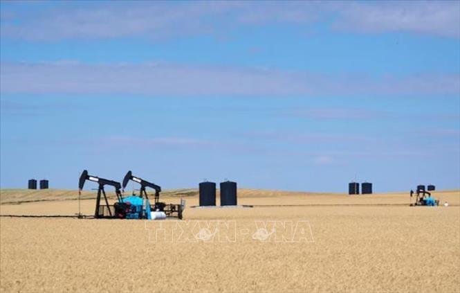 Cơ sở khai thác dầu trên cánh đồng gần Kindersley, Saskatchewan, Canada ngày 5/9/2024. Ảnh: REUTERS/TTXVN