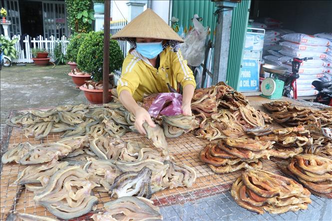 Dried fish for sale in Phu Tho commune, Tam Nong district, Dong Thap province. VNA Photo: Nguyễn Văn Trí