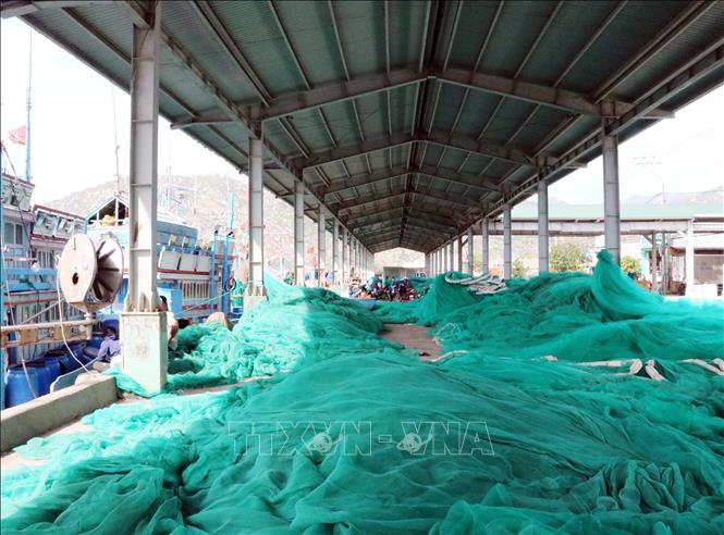 Cảng cá Cà Ná (huyện Thuận Nam) không còn cảnh mua bán hải sản sầm uất do tàu thuyền không thể vươn khơi đánh bắt. Ảnh: Công Thử - TTXVN