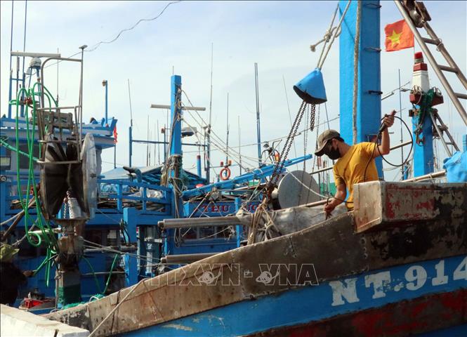 Tàu thuyền không thể vươn khơi do thời tiết bất lợi, ngư dân ở xã Cà Ná (huyện Thuận Nam) chỉ lo tu sửa lại tàu chờ vươn khơi. Ảnh: Công Thử - TTXVN