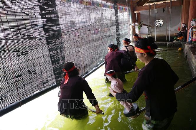 Nghề múa rối nước không ít nhọc nhằn, vất vả, nhất là vào mùa Đông, khi mà các nghệ sĩ phải ngâm mình trong bể nước để hát, để diễn và hóa thân vào từng hành động, cử chỉ, điệu bộ của con rối. Ảnh: Phạm Hậu - TTXVN