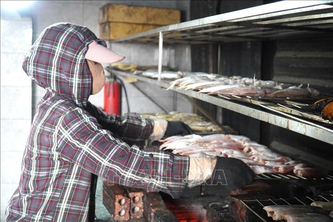 Nghề làm cá nướng ở Ngư Lộc được duy trì quanh năm, tuy nhiên vào dịp giáp Tết, sản lượng tiêu thụ thường tăng gấp đôi, gấp ba ngày thường. Ảnh: TTXVN phát