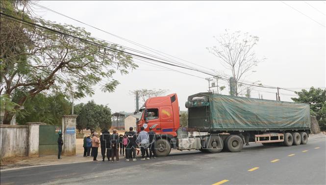 Người dân chặn xe container vào Nhà máy chế biến tinh bột sắn Elmaco Ninh Bình để phản đối hoạt động của nhà máy. Ảnh: Thùy Dung - TTXVN