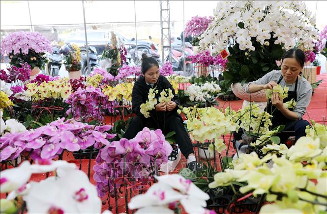 Người mua có thể lựa chọn các loại hoa lan và được cửa hàng cắm theo yêu cầu. Ảnh: Tạ Toàn - TTXVN