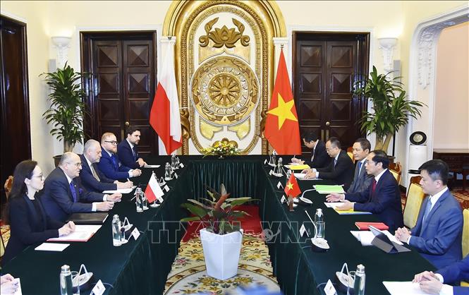 Bộ trưởng Ngoại giao Bùi Thanh Sơn hội đàm với Bộ trưởng Ngoại giao Ba Lan Zbigniew Rau thăm chính thức Việt Nam (Hà Nội, 16/3/2024). Ảnh: Lâm Khánh - TTXVN