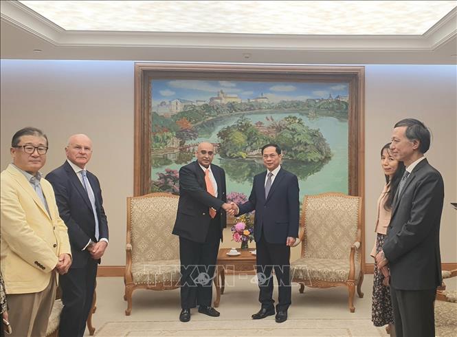 Deputy Prime Minister and Minister of Foreign Affairs Bui Thanh Son recceives Makara Capital's CEO Ali Ijaz Ahmad. VNA Photo: Chu Thanh Vân 