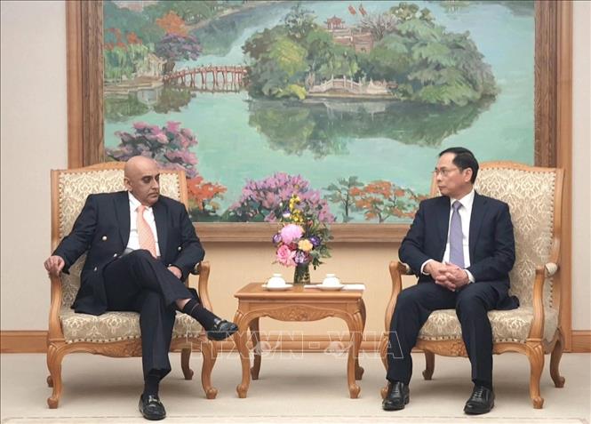 Deputy Prime Minister and Minister of Foreign Affairs Bui Thanh Son receives Makara Capital's CEO Ali Ijaz Ahmad. VNA Photo: Chu Thanh Vân 