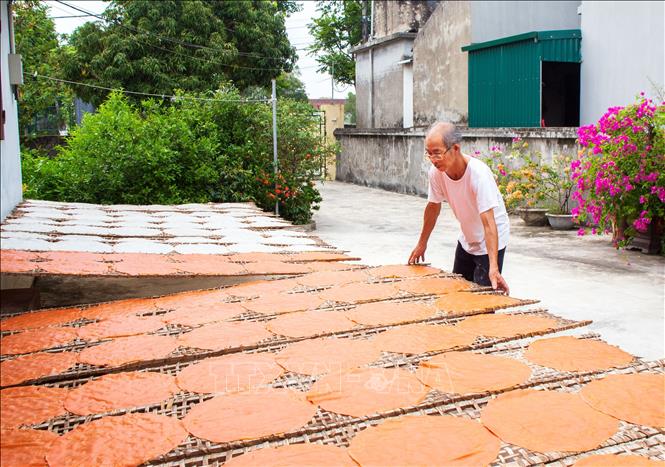 Người dân làng nghề truyền thống làm bánh đa gấc tại xã Khánh Thiện, huyện Yên Khánh, tỉnh Ninh Bình vào vụ Tết. Ảnh: Hải Yến - TTXVN