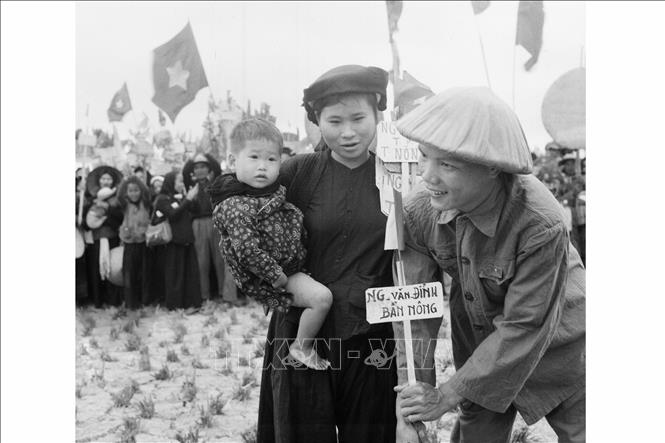 Cải cách ruộng đất hoàn thành thắng lợi vào năm 1957, vĩnh viễn thủ tiêu chế độ chiếm hữu ruộng đất của giai cấp địa chủ phong kiến và xác lập chế độ sở hữu ruộng đất của nông dân, đem lại niềm phấn khởi trong nông dân, có tác dụng rất lớn trong việc đẩy mạnh sản xuất, khôi phục kinh tế, hàn gắn vết thương chiến tranh. Ảnh: TTXVN 