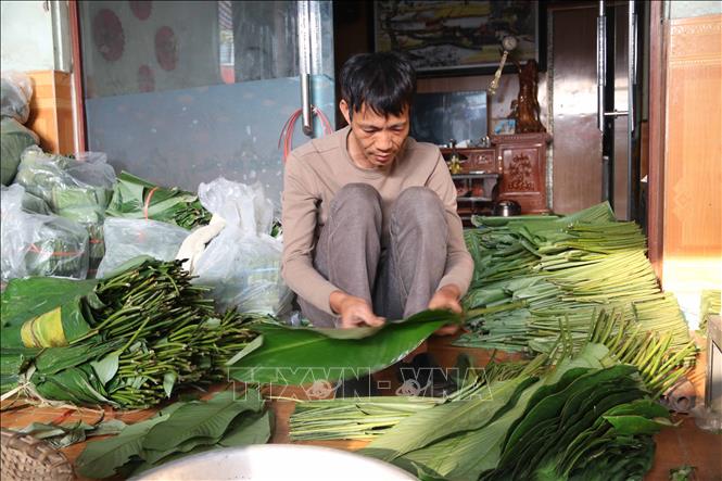 Người dân chuẩn bị lá dong gói bánh chưng. Ảnh: Thu Hoài - TTXVN