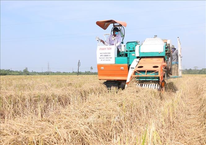 Xe cuốn rơm rạ hoạt động trên đồng. Ảnh: Tuấn Phi-TTXVN