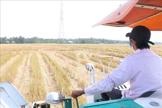 Tài xế xe cuốn rơm điều khiển xe trên đồng ruộng miền Tây Nam bộ. Ảnh: Tuấn Phi-TTXVN