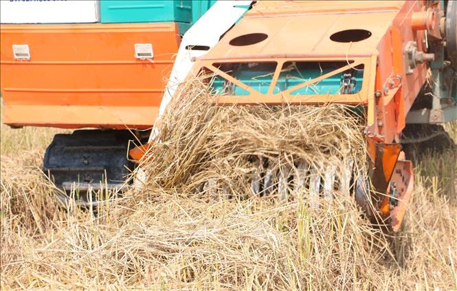 Xe cuốn rơm rạ hoạt động trên đồng. Ảnh: Tuấn Phi-TTXVN