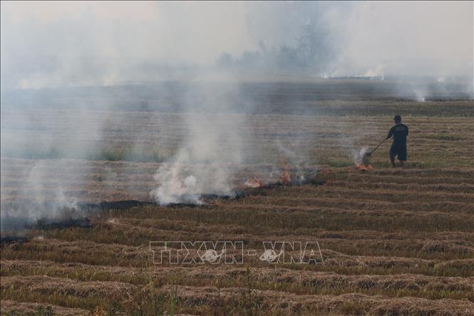 Nông dân xã Gáo Giồng (Cao Lãnh, Đồng Tháp) đốt rơm rạ sau khi thu hoạch lúa Đông Xuân. Ảnh: Nguyễn Văn Trí – TTXVN