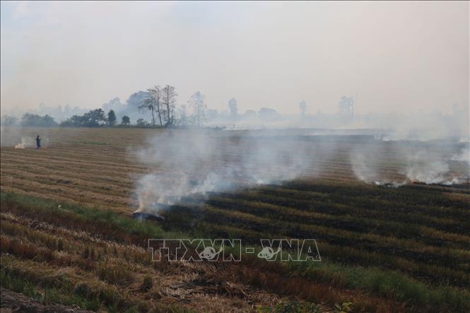 Nông dân xã Gáo Giồng (Cao Lãnh, Đồng Tháp) đốt rơm rạ sau khi thu hoạch lúa Đông Xuân. Ảnh: Nguyễn Văn Trí – TTXVN