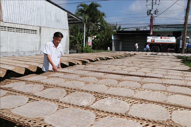 Anh Nguyễn Thanh Huy, ấp Nghĩa Huấn, xã Mỹ Thạnh,huyện Giồng Trôm phơi bánh tráng phục vụ Tết. Ảnh: Công Trí-TTXVN
