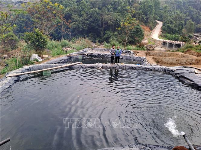 Mô hình nuôi cá nước lạnh khu vực đèo Gió (xã Nấm Dẩn, huyện Xín Mần). Ảnh: Đức Thọ - TTXVN