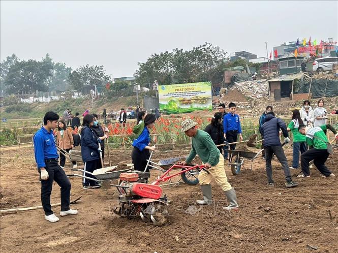 Ngày cuối năm có đông đảo người dân tham gia dọn rác, xới đất trồng hoa tại khu vực bãi giữa phường Phúc Xá, quận Ba Đình (Hà Nội). Ảnh TTXVN phát