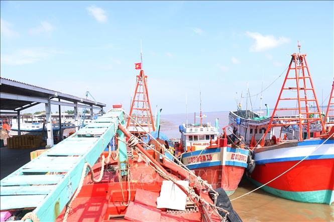 Soc Trang province has 342 fishing vessels of 15m or more in length equipped with monitoring devices. VNA Photo: Tuấn Phi