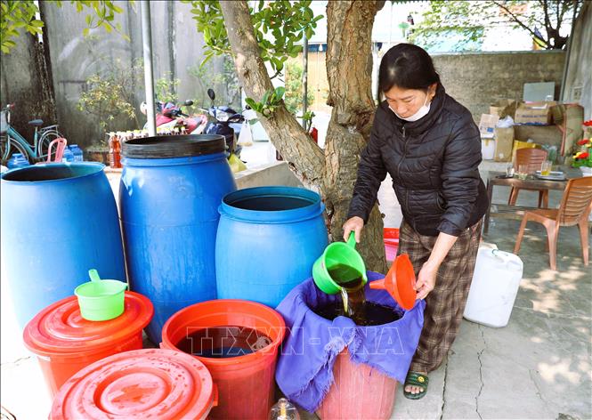 Người dân ở các làng nghề chế biến nước mắm truyền thống trên địa bàn huyện Diễn Châu tất bật với việc “rút” nước mắm để cung ứng ra thị trường dịp Tết. Ảnh: Xuân Tiến - TTXVN 