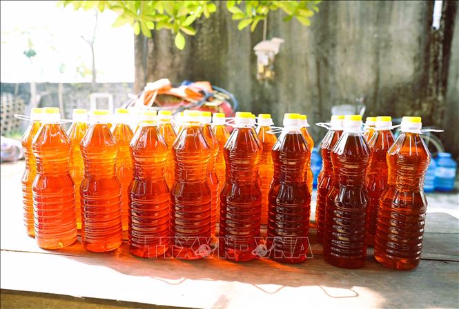 Nước mắm ở các làng nghề truyền thống xã Ngọc Bích có màu sắc cánh gián, mùi thơm, vị đặc trưng, rất được thị trường ưa dùng. Ảnh: Xuân Tiến - TTXVN 