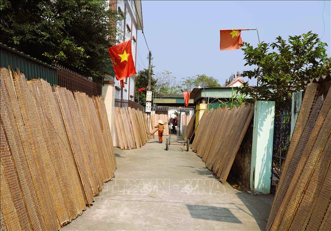 Các sản phẩm bánh chả, bánh đa nem được dựng phơi nắng trên khắp các tuyến đường liên xóm tại làng Hải Thượng, Hải Trung, Quyết Thành (xã Ngọc Bích, huyện Diễn Châu). Ảnh: Xuân Tiến - TTXVN 