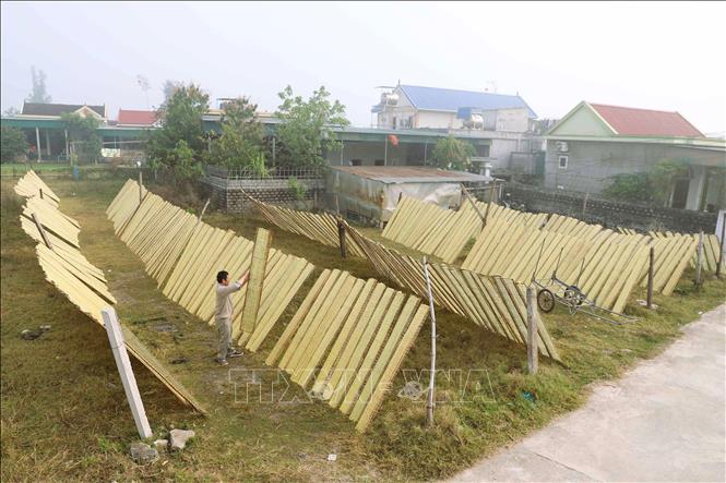 Người dân khu vực Đồng Tháng Năm (xóm Quyết Thành, xã Ngọc Bích, huyện Diễn Châu) phơi bánh chả vụ Tết. Ảnh: Xuân Tiến - TTXVN 