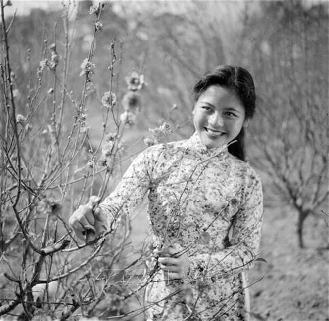 Cô gái Hà Nội tại làng hoa Nhật Tân, năm 1963. Ảnh: TTXVN